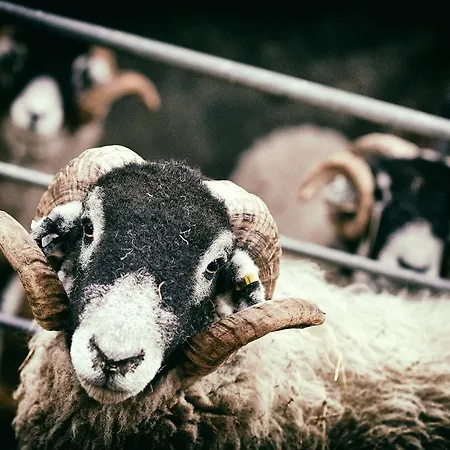 Σπίτι διακοπών Widewath Barn